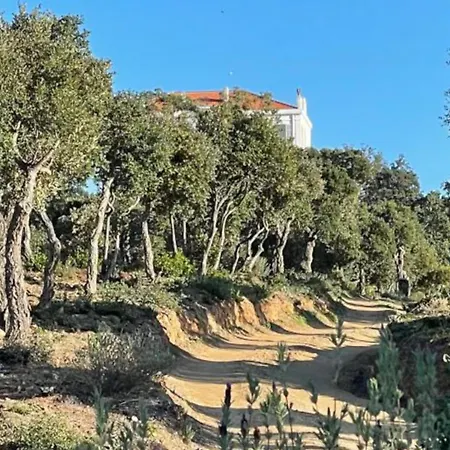Plage Holiday home Cavalaire-sur-Mer